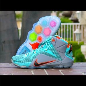 Nike LeBron 12s